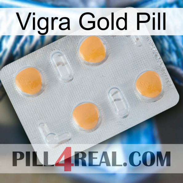 Vigra Gold Pill 24.jpg